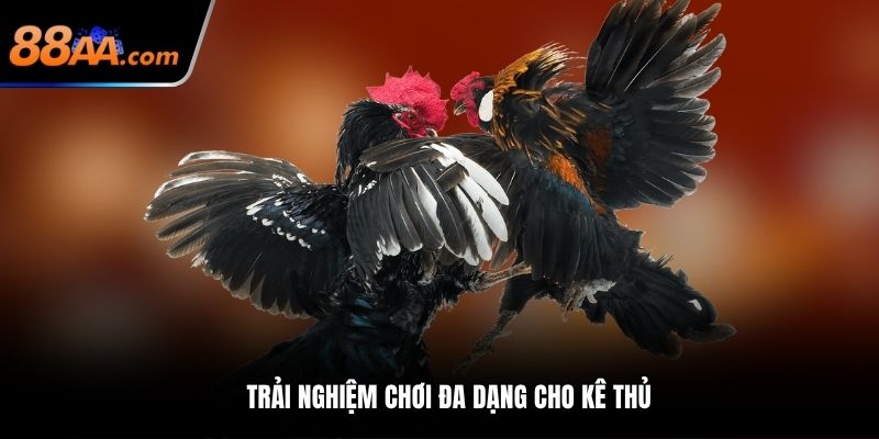 Trải nghiệm chơi đa dạng cho kê thủ