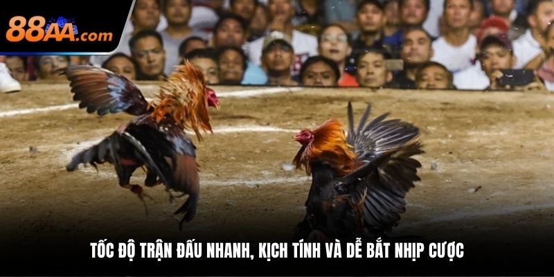 Tốc độ trận đấu nhanh, kịch tính và dễ bắt nhịp cược