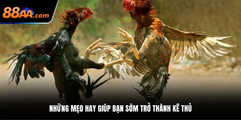 Những mẹo hay giúp bạn sớm trở thành kê thủ